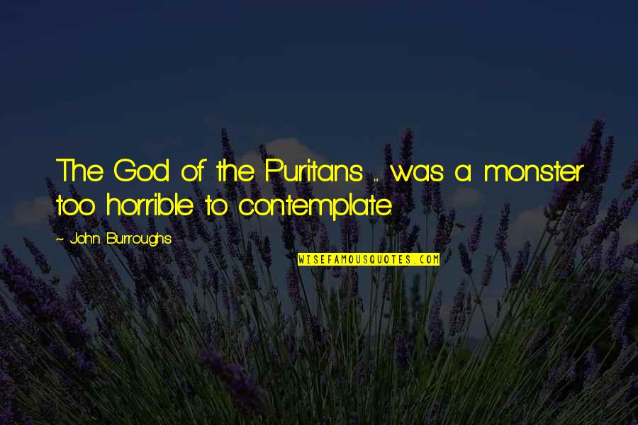 The Puritans Quotes By John Burroughs: The God of the Puritans ... was a