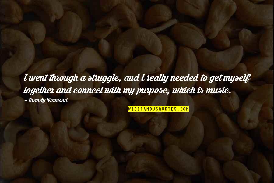 The Purpose Of Music Quotes By Brandy Norwood: I went through a struggle, and I really