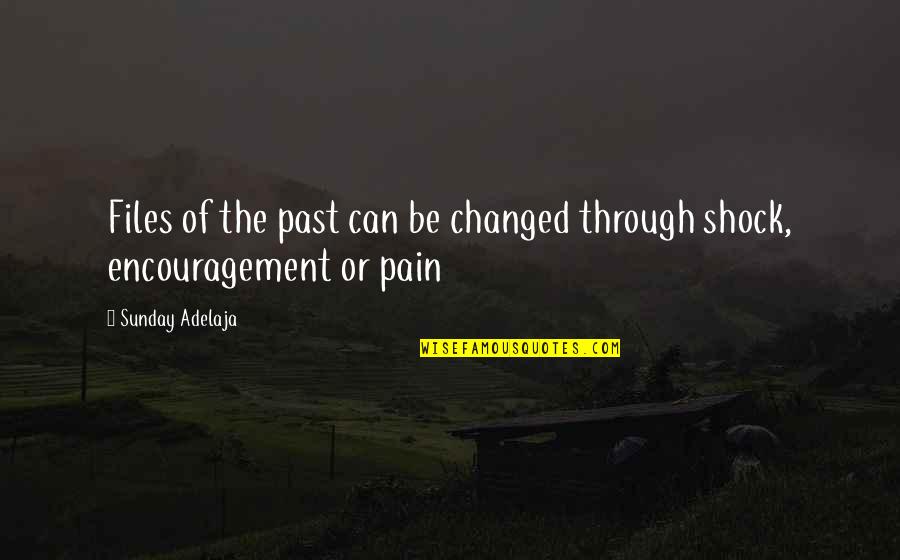 The Purpose Of Pain Quotes By Sunday Adelaja: Files of the past can be changed through