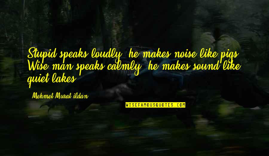 The Quiet Man Quotes By Mehmet Murat Ildan: Stupid speaks loudly; he makes noise like pigs!