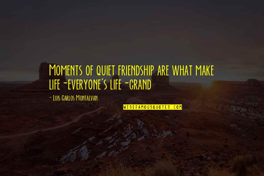 The Quiet Moments Quotes By Luis Carlos Montalvan: Moments of quiet friendship are what make life-everyone's