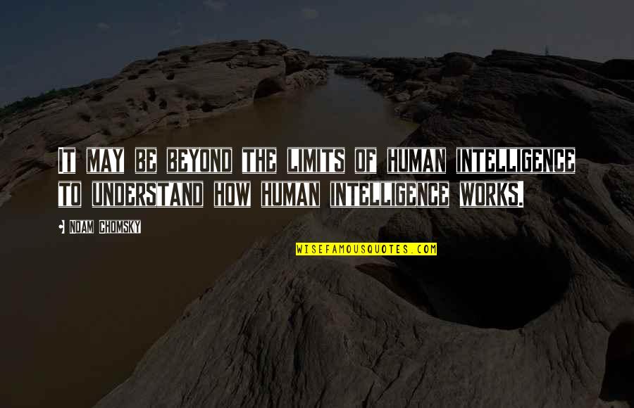 The Quran In English Quotes By Noam Chomsky: It may be beyond the limits of human The Quran In English Quotes By Noam Chomsky: It may be beyond the limits of human