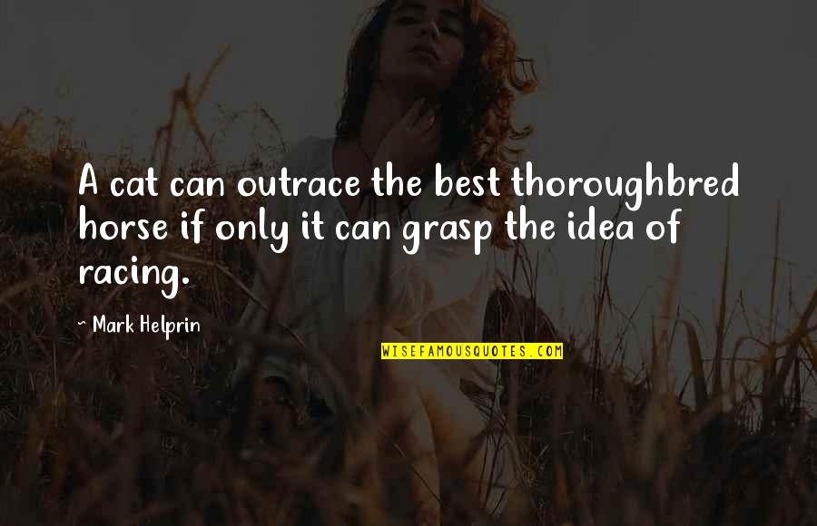 The Racing Quotes By Mark Helprin: A cat can outrace the best thoroughbred horse The Racing Quotes By Mark Helprin: A cat can outrace the best thoroughbred horse
