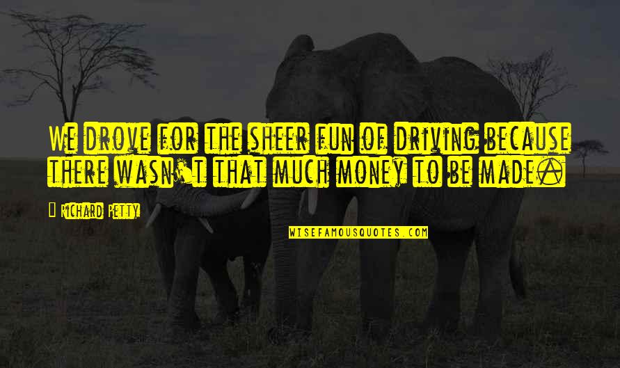 The Racing Quotes By Richard Petty: We drove for the sheer fun of driving The Racing Quotes By Richard Petty: We drove for the sheer fun of driving