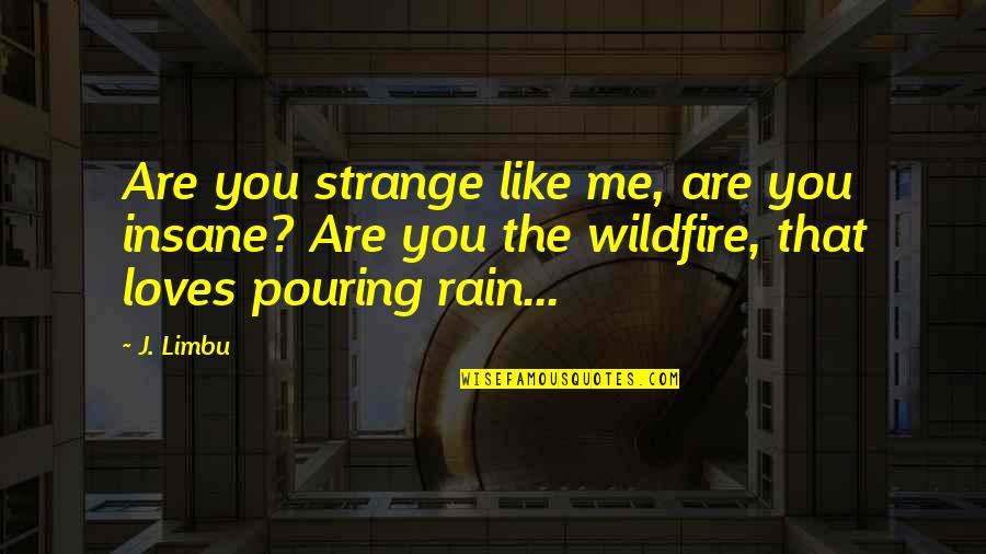 The Rain Love Quotes By J. Limbu: Are you strange like me, are you insane?