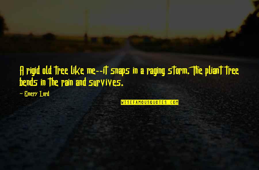 The Rain Quotes By Emery Lord: A rigid old tree like me--it snaps in The Rain Quotes By Emery Lord: A rigid old tree like me--it snaps in