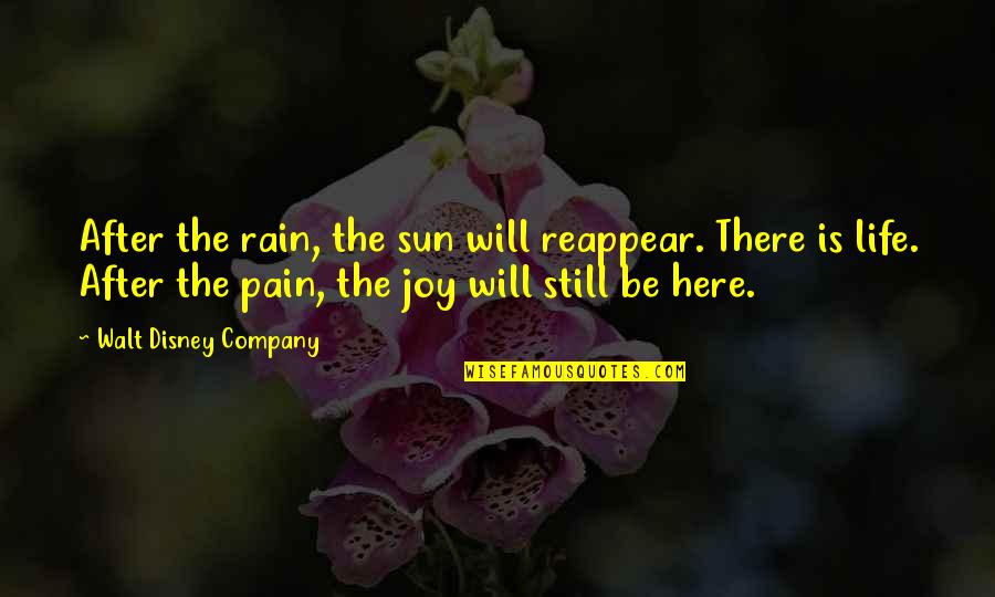 The Rain Quotes By Walt Disney Company: After the rain, the sun will reappear. There The Rain Quotes By Walt Disney Company: After the rain, the sun will reappear. There
