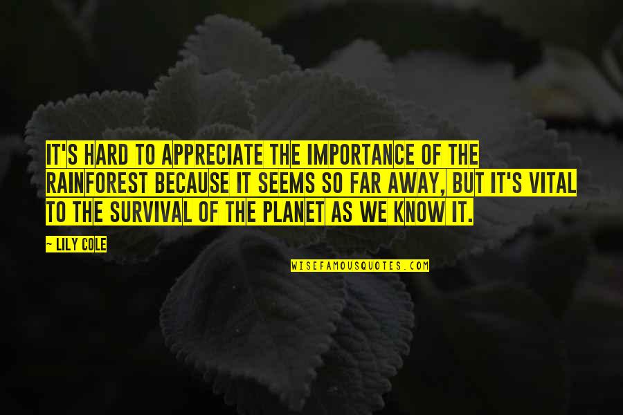 The Rainforest Quotes By Lily Cole: It's hard to appreciate the importance of the