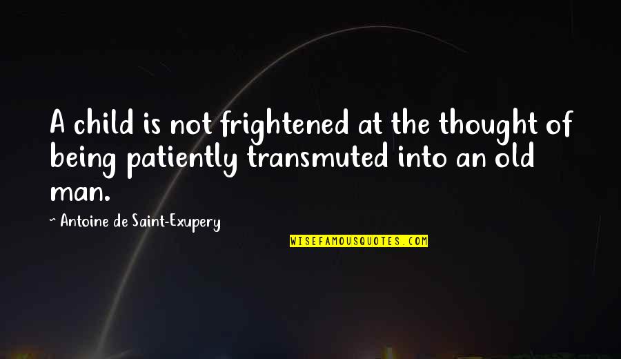 The Rapper Future Quotes By Antoine De Saint-Exupery: A child is not frightened at the thought