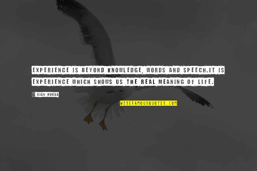 The Real Meaning Of Life Quotes By Gian Kumar: Experience is beyond knowledge, words and speech.It is
