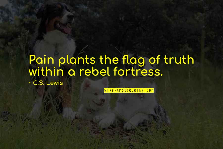 The Rebel Flag Quotes By C.S. Lewis: Pain plants the flag of truth within a