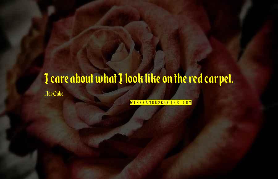The Red Carpet Quotes By Ice Cube: I care about what I look like on