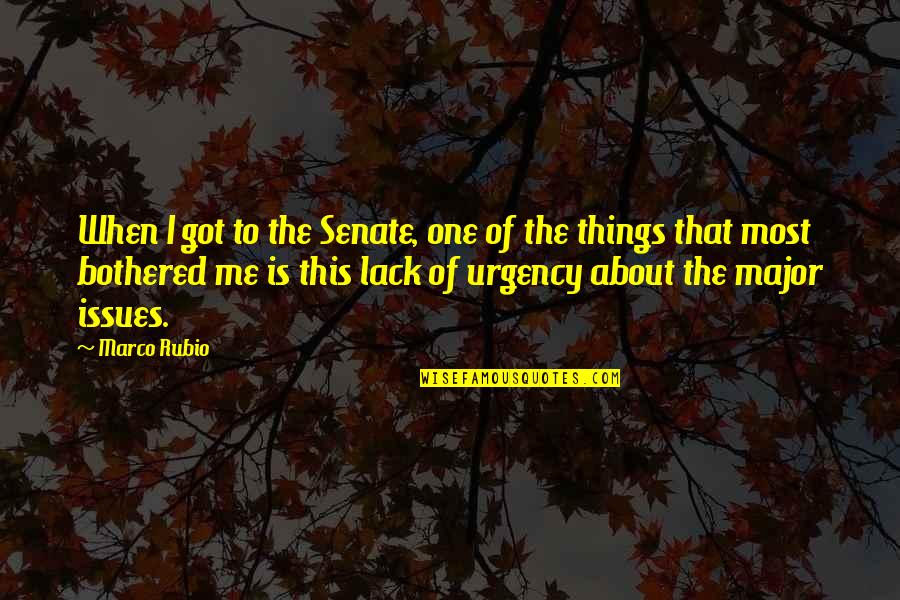 The Red Tent Quotes By Marco Rubio: When I got to the Senate, one of