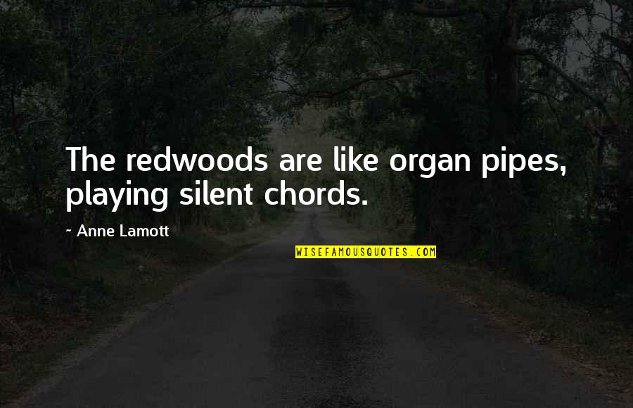 The Redwoods Quotes By Anne Lamott: The redwoods are like organ pipes, playing silent