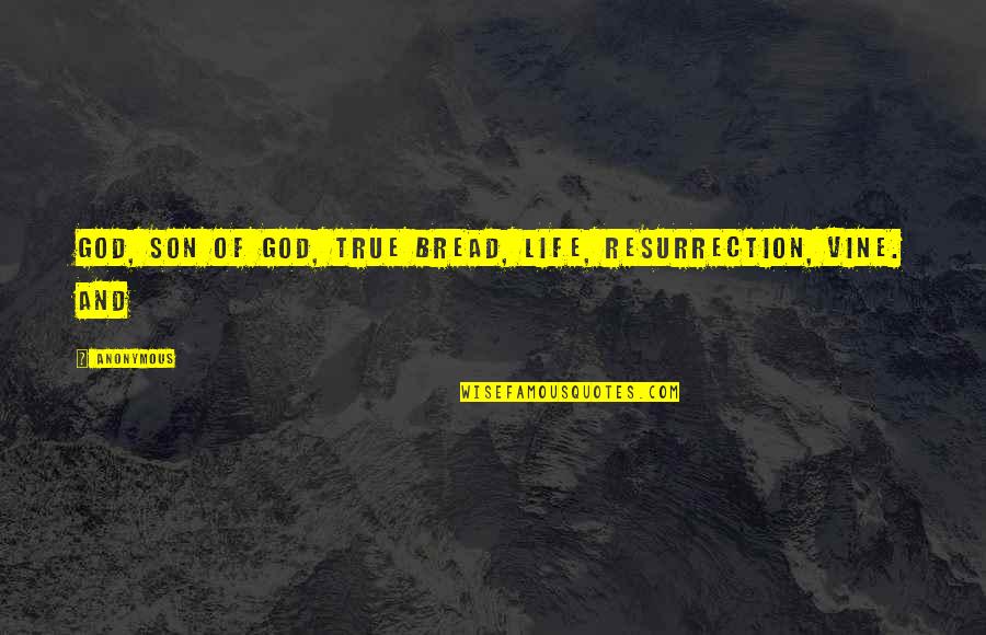 The Resurrection Of The Son Of God Quotes By Anonymous: God, Son of God, true bread, life, resurrection,