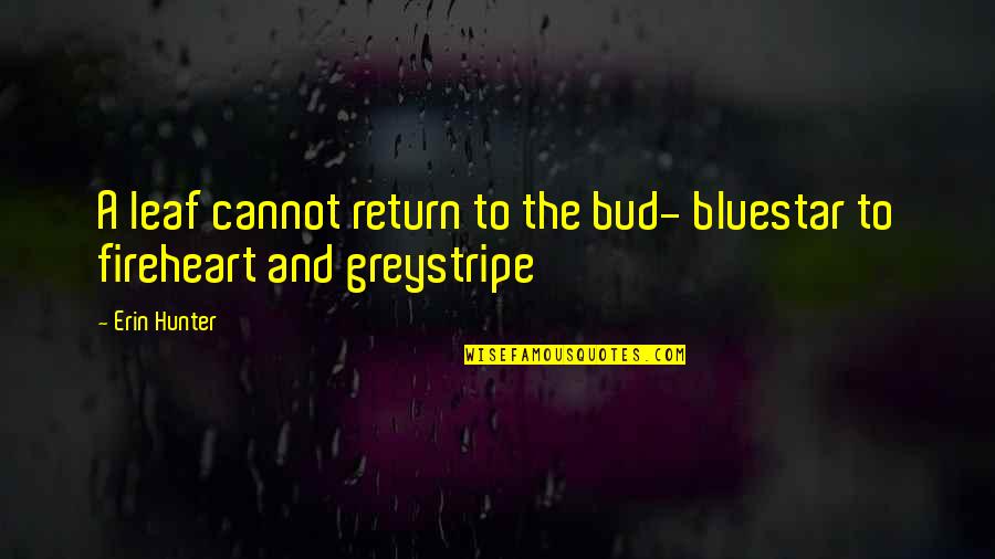 The Return Quotes By Erin Hunter: A leaf cannot return to the bud- bluestar