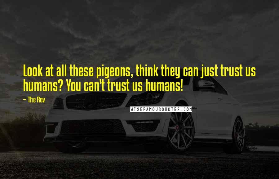 The Rev quotes: Look at all these pigeons, think they can just trust us humans? You can't trust us humans!