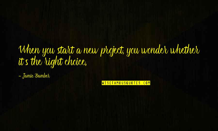The Right Choice Quotes By Jamie Bamber: When you start a new project, you wonder