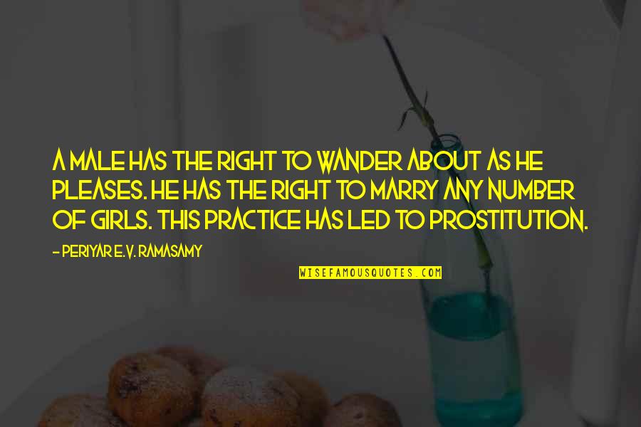 The Right Girl Quotes By Periyar E.V. Ramasamy: A male has the right to wander about