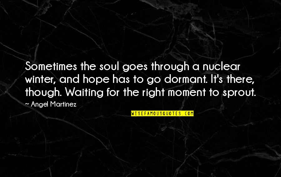 The Right Moment Quotes By Angel Martinez: Sometimes the soul goes through a nuclear winter, The Right Moment Quotes By Angel Martinez: Sometimes the soul goes through a nuclear winter,