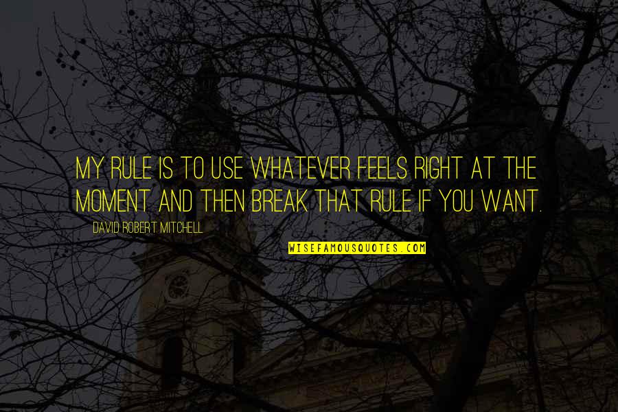 The Right Moment Quotes By David Robert Mitchell: My rule is to use whatever feels right The Right Moment Quotes By David Robert Mitchell: My rule is to use whatever feels right