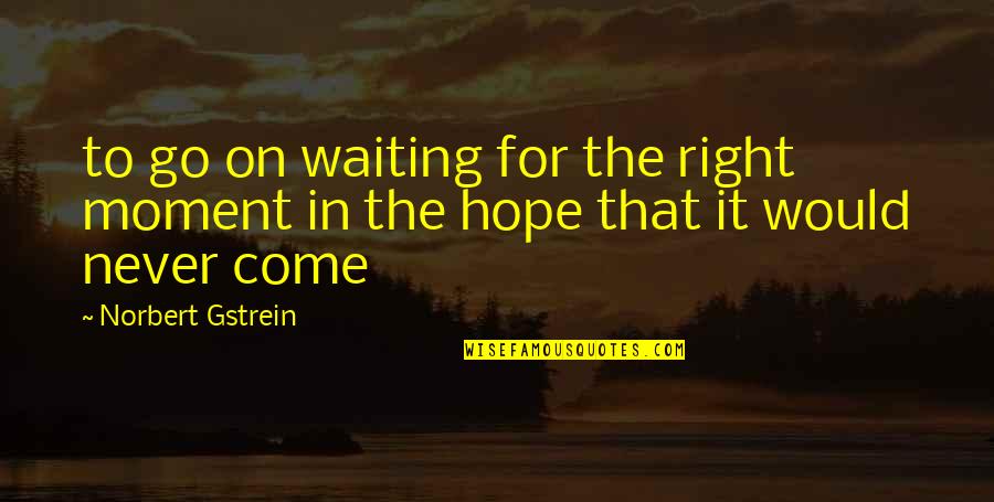 The Right Moment Quotes By Norbert Gstrein: to go on waiting for the right moment