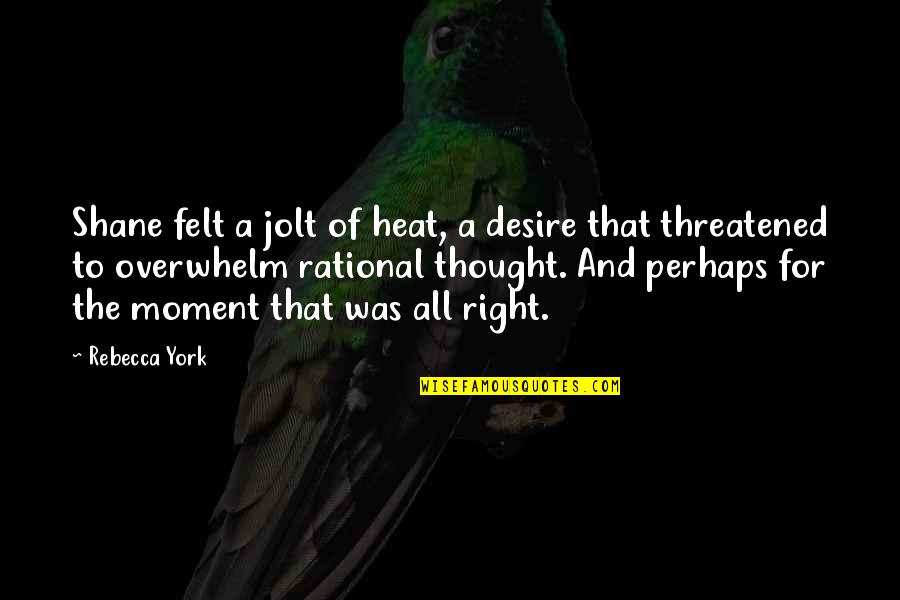 The Right Moment Quotes By Rebecca York: Shane felt a jolt of heat, a desire The Right Moment Quotes By Rebecca York: Shane felt a jolt of heat, a desire