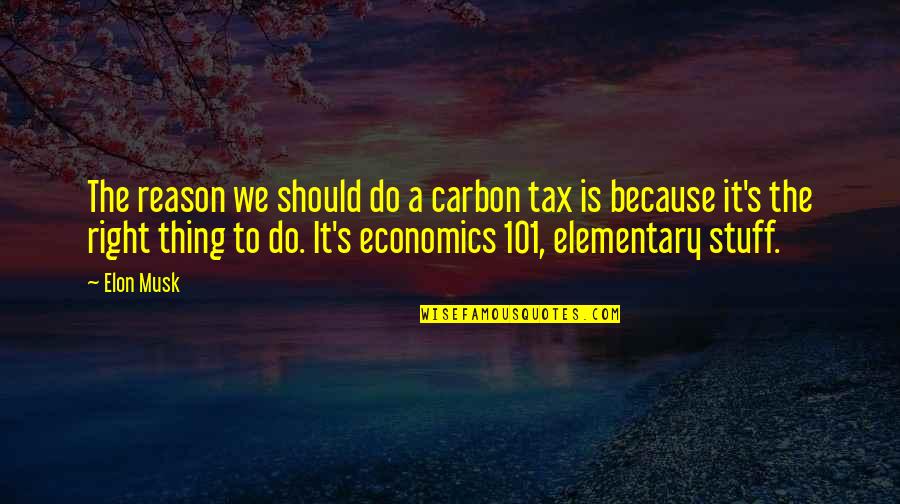 The Right Stuff Quotes By Elon Musk: The reason we should do a carbon tax