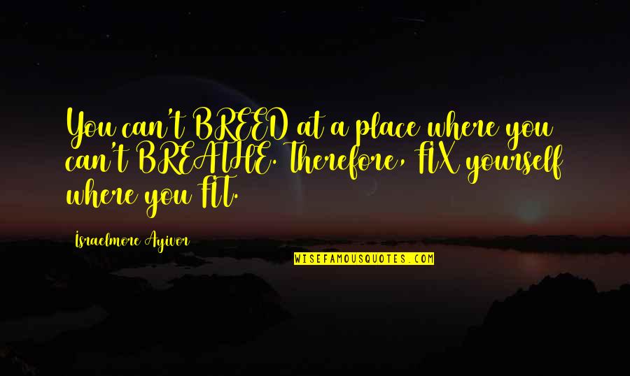 The Right Time And Place Quotes By Israelmore Ayivor: You can't BREED at a place where you