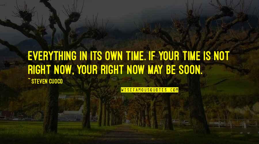 The Right Time Is Now Quotes By Steven Cuoco: Everything in its own time. If your time