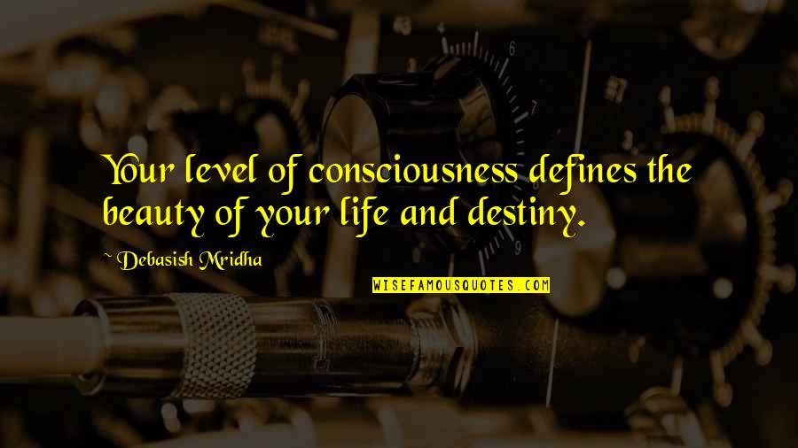 The Right To Housing Quotes By Debasish Mridha: Your level of consciousness defines the beauty of