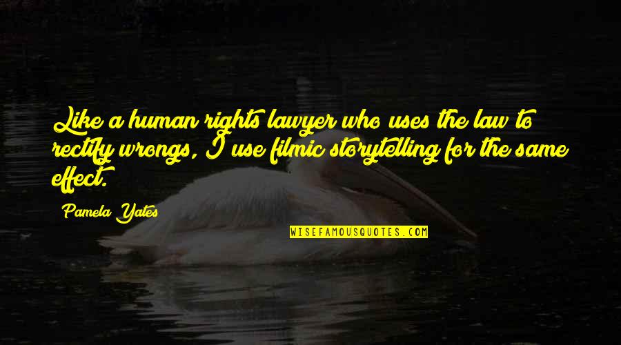 The Rights And Wrongs Quotes By Pamela Yates: Like a human rights lawyer who uses the
