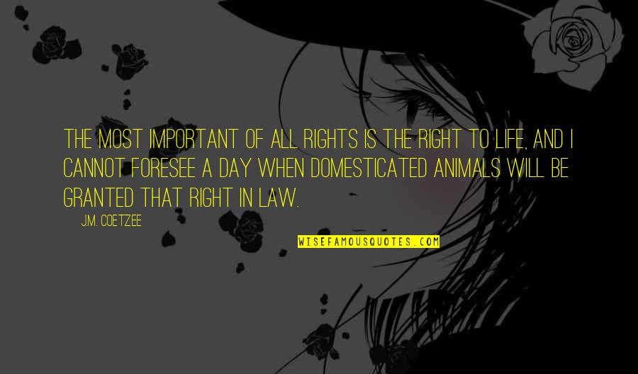 The Rights Of Animals Quotes By J.M. Coetzee: The most important of all rights is the