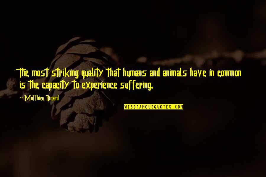 The Rights Of Animals Quotes By Matthieu Ricard: The most striking quality that humans and animals