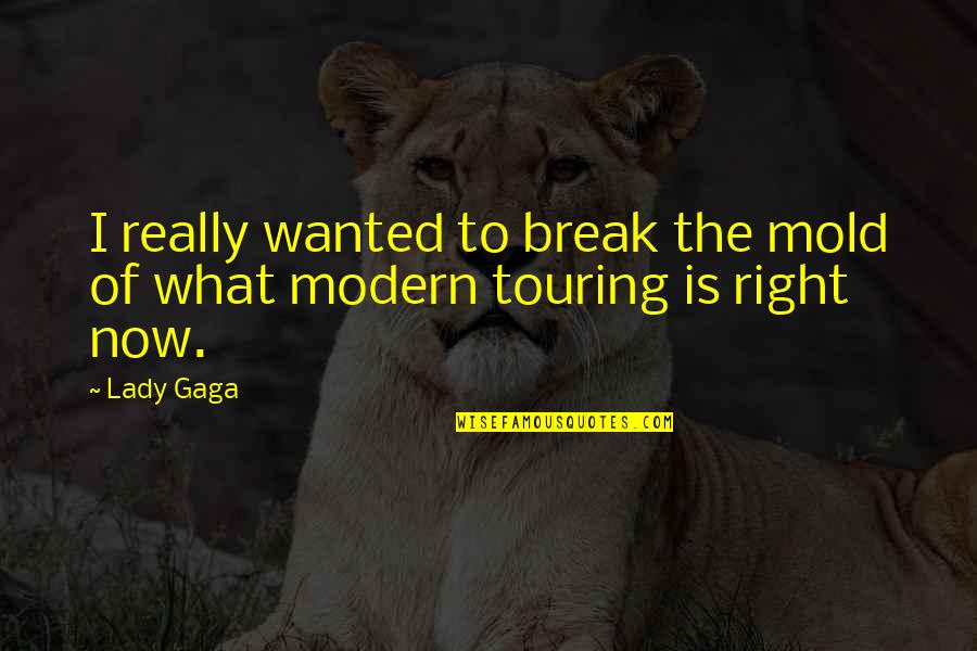 The Ringer Funny Quotes By Lady Gaga: I really wanted to break the mold of