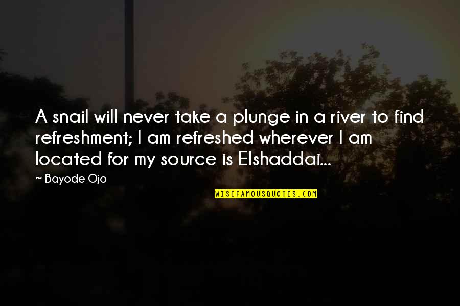 The River And The Source Quotes By Bayode Ojo: A snail will never take a plunge in The River And The Source Quotes By Bayode Ojo: A snail will never take a plunge in