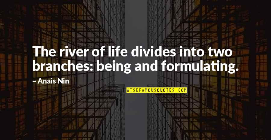 The River Quotes By Anais Nin: The river of life divides into two branches:
