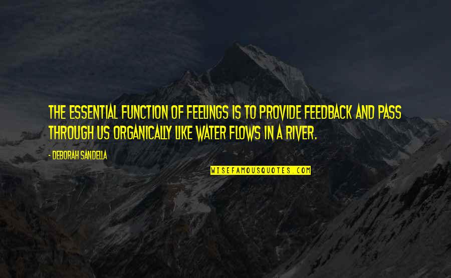 The River Quotes By Deborah Sandella: The essential function of feelings is to provide The River Quotes By Deborah Sandella: The essential function of feelings is to provide