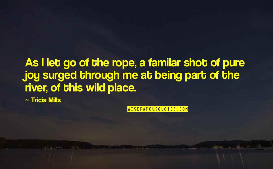 The River Wild Quotes By Tricia Mills: As I let go of the rope, a