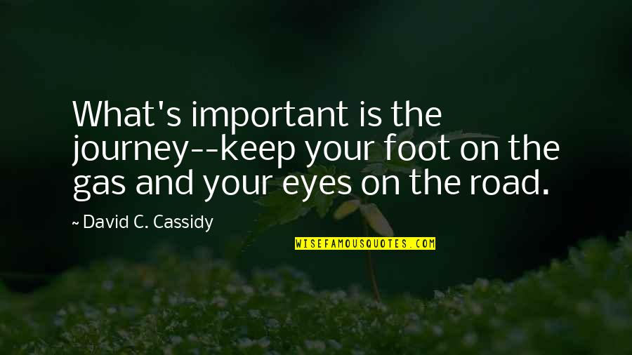 The Road Most Important Quotes By David C. Cassidy: What's important is the journey--keep your foot on