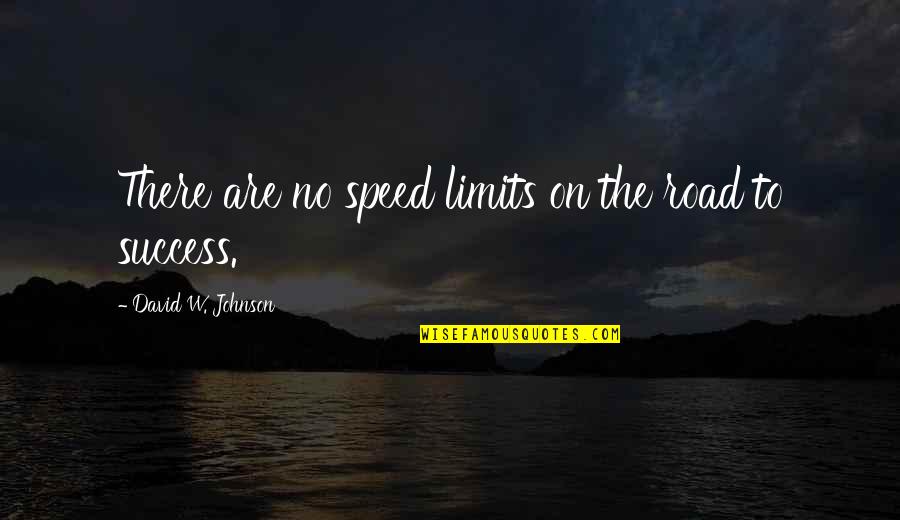The Road To Success Quotes By David W. Johnson: There are no speed limits on the road