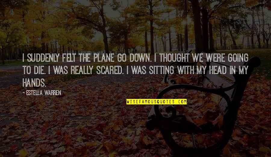 The Robber Barons Quotes By Estella Warren: I suddenly felt the plane go down. I The Robber Barons Quotes By Estella Warren: I suddenly felt the plane go down. I