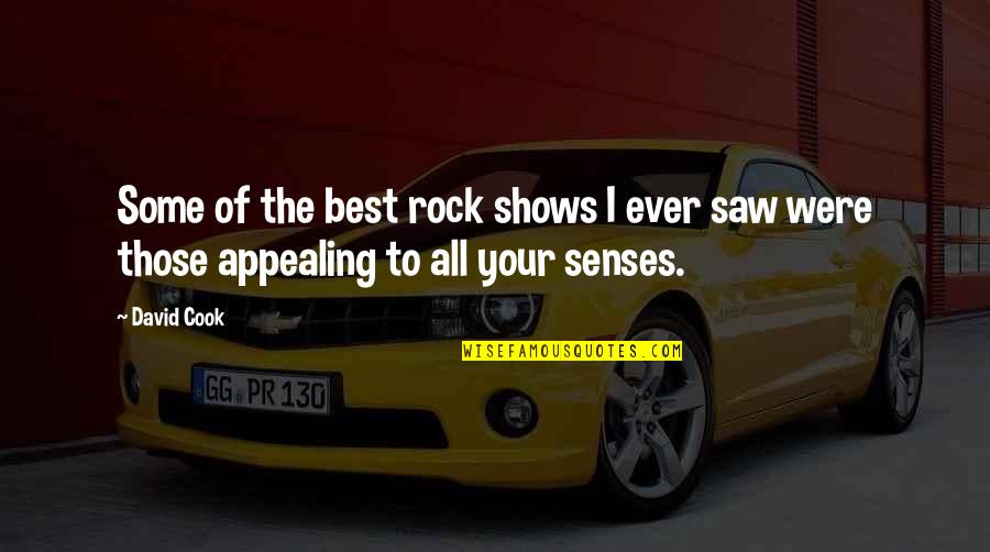 The Rock Best Quotes By David Cook: Some of the best rock shows I ever