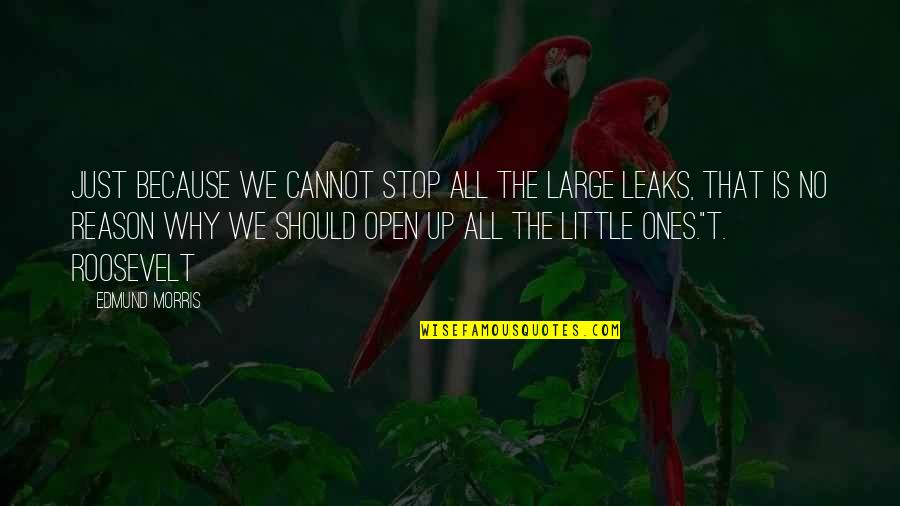 The Roosevelt Quotes By Edmund Morris: Just because we cannot stop all the large The Roosevelt Quotes By Edmund Morris: Just because we cannot stop all the large