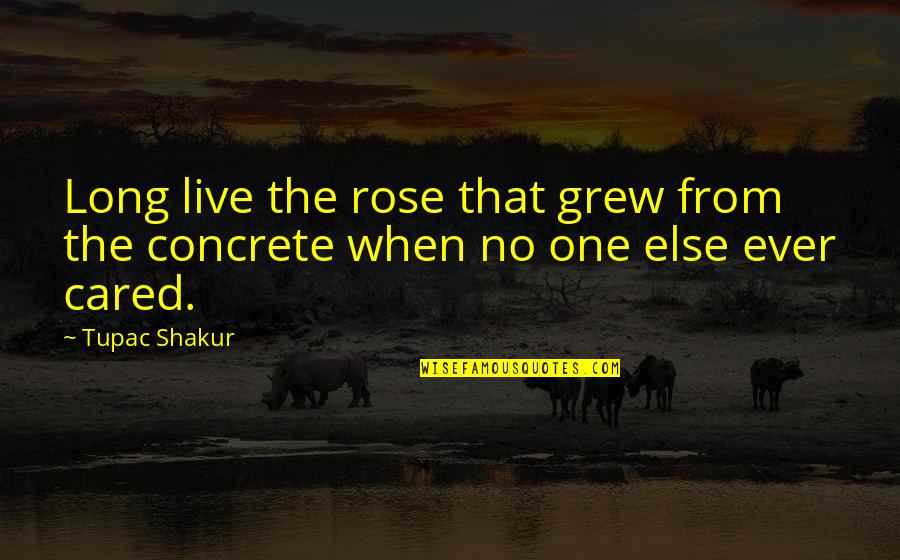 The Rose That Grew From The Concrete Quotes By Tupac Shakur: Long live the rose that grew from the