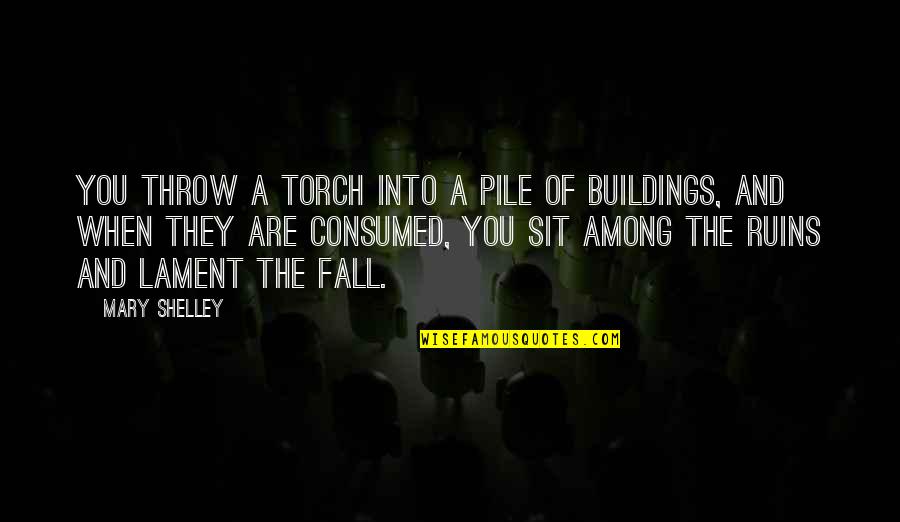 The Ruins Quotes By Mary Shelley: You throw a torch into a pile of The Ruins Quotes By Mary Shelley: You throw a torch into a pile of
