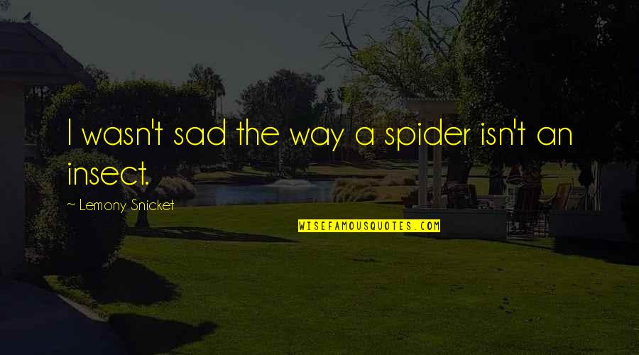 The Sad Quotes By Lemony Snicket: I wasn't sad the way a spider isn't The Sad Quotes By Lemony Snicket: I wasn't sad the way a spider isn't