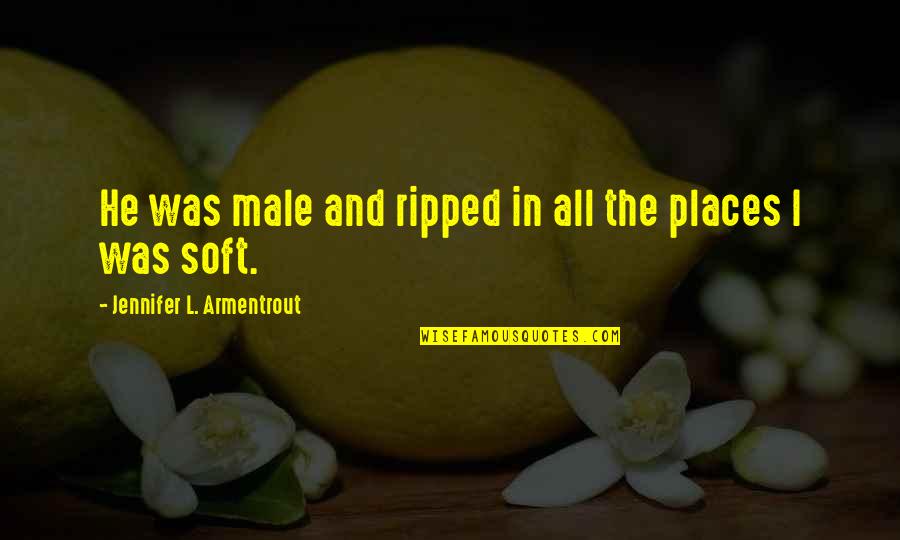 The Savoy Hotel Quotes By Jennifer L. Armentrout: He was male and ripped in all the