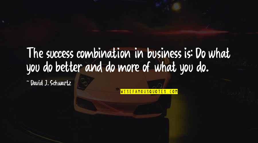 The Schwartz Quotes By David J. Schwartz: The success combination in business is: Do what