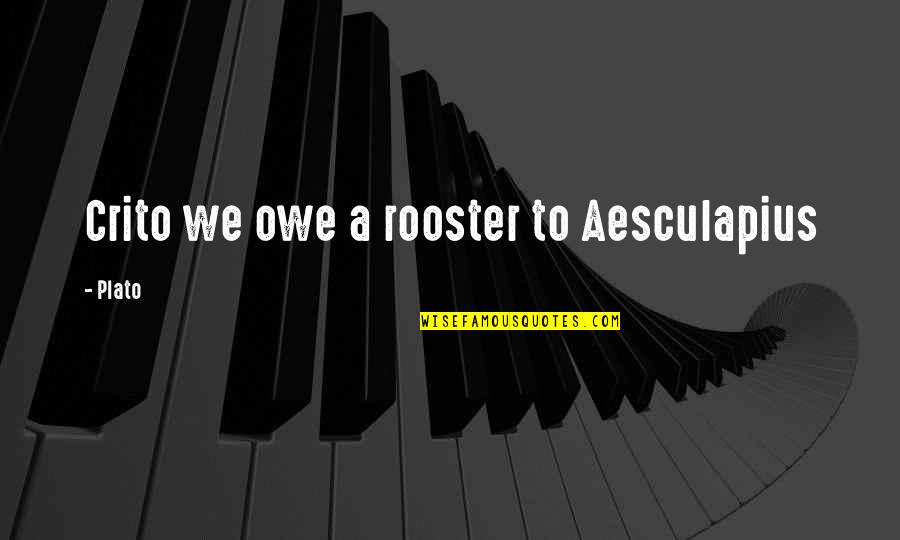 The Scottsboro Trial Quotes By Plato: Crito we owe a rooster to Aesculapius